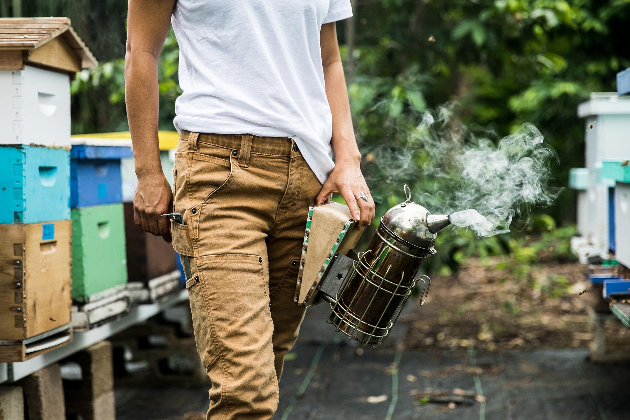 Product gallery image number 14 for product Maven X Slim Workpant - Women's