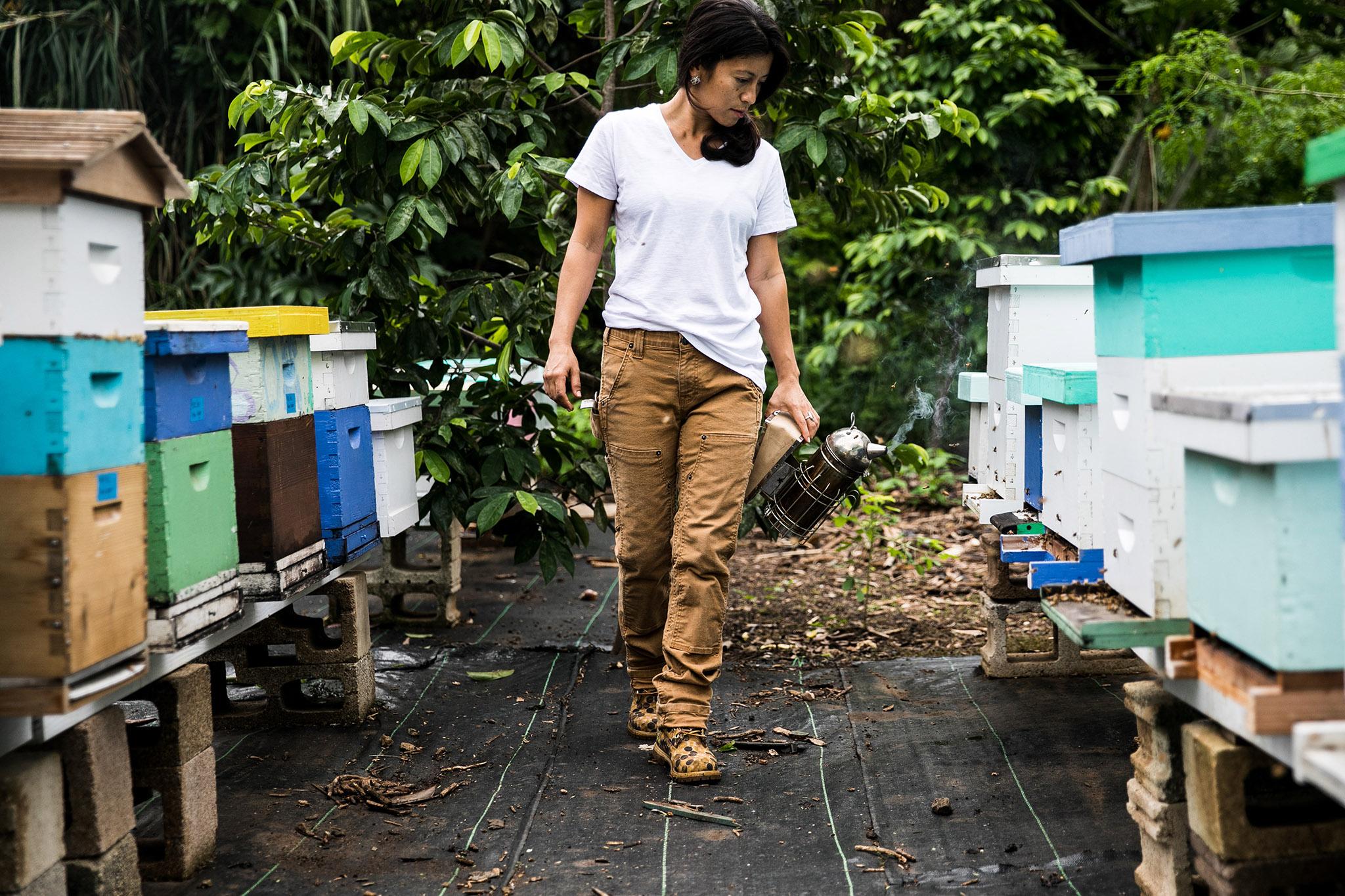 Product gallery image number 15 for product Maven X Slim Workpant - Women's