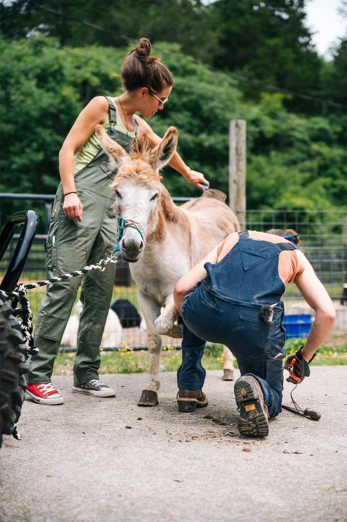 Product gallery image number 8 for product Freshley Overall - Women's