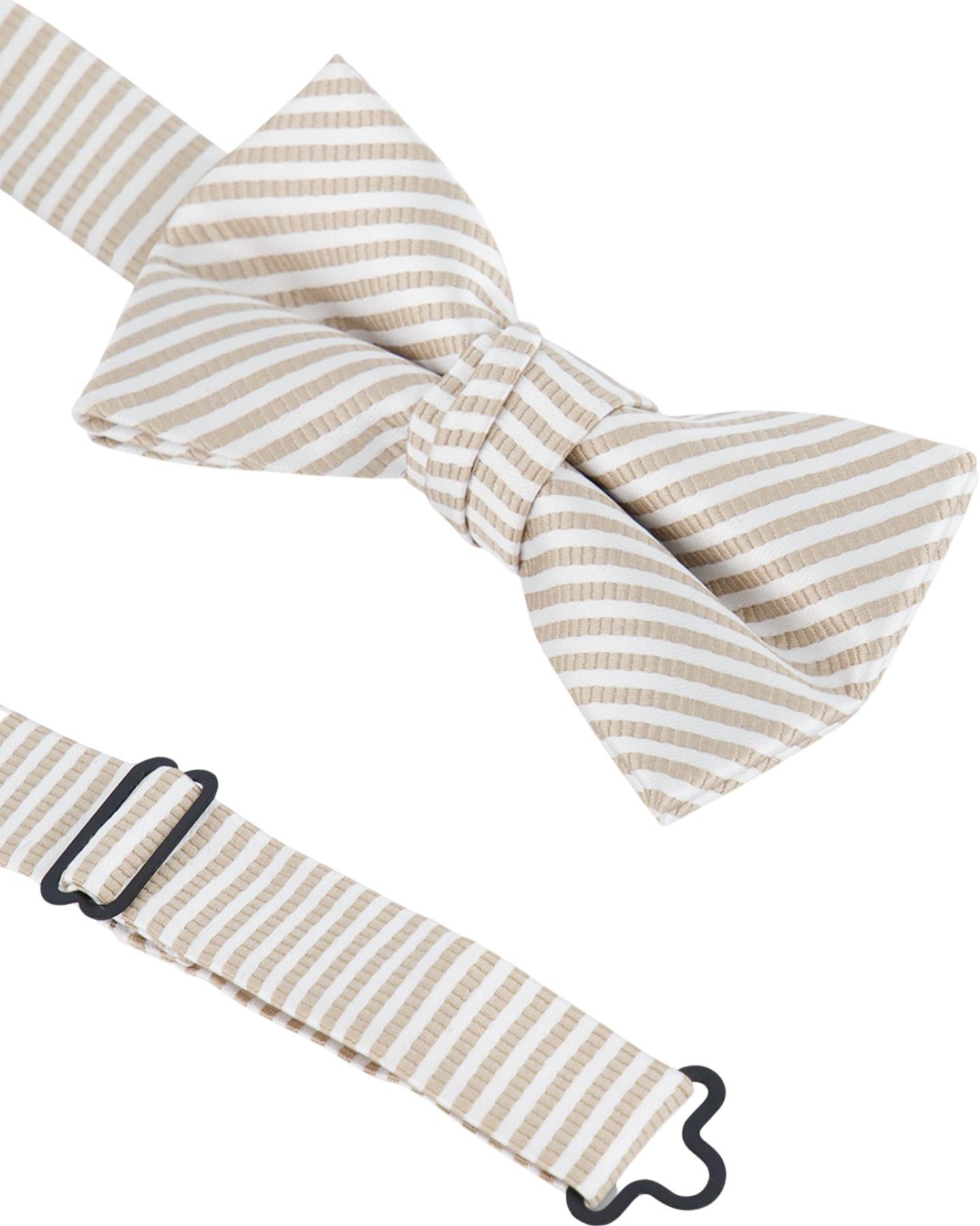 Product gallery image number 2 for product Light Taupe Bow Tie - Boy