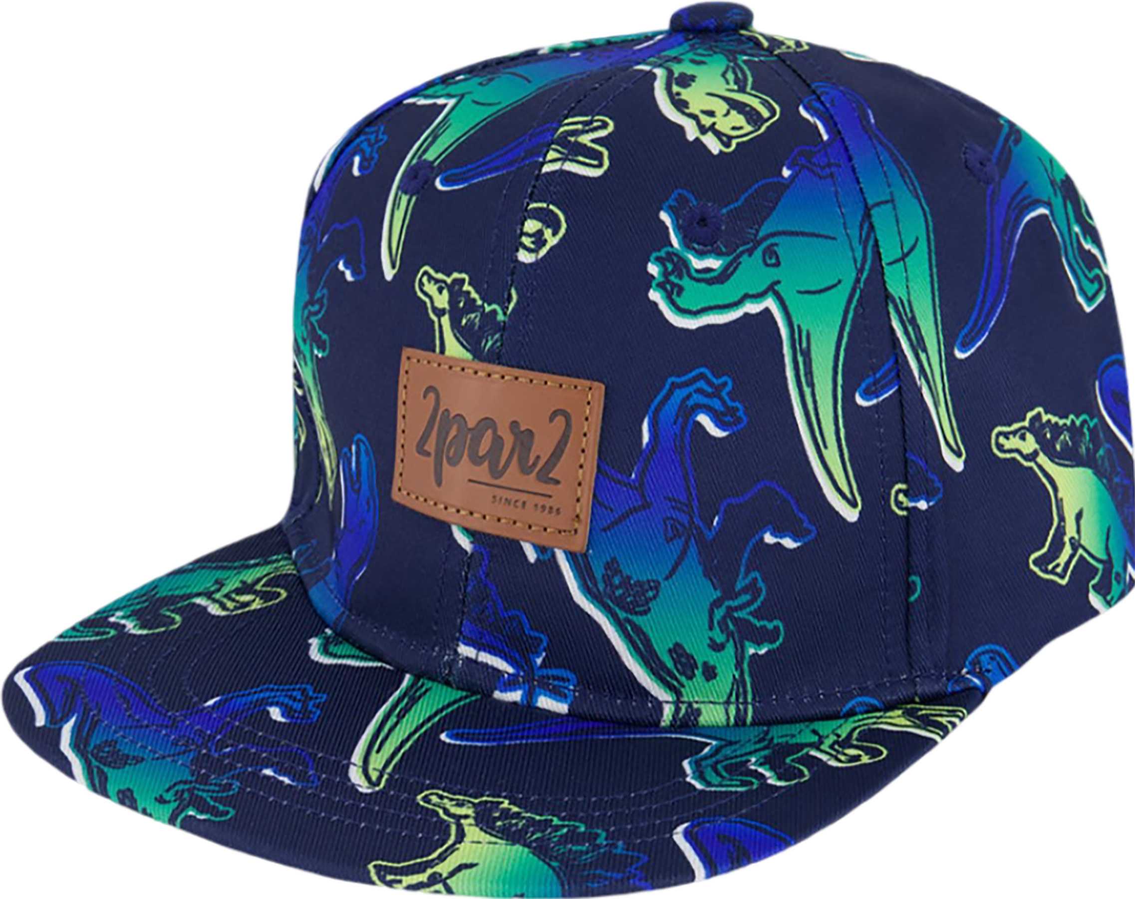 Printed Gradient Dinos