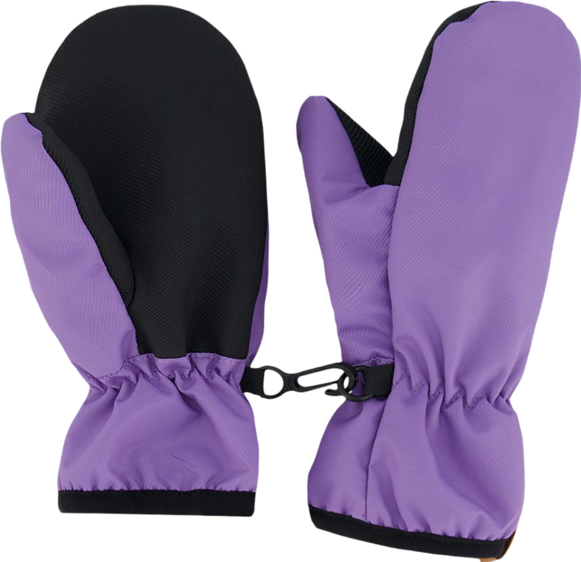 Paisley Purple