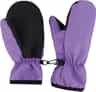 Colour: Paisley Purple