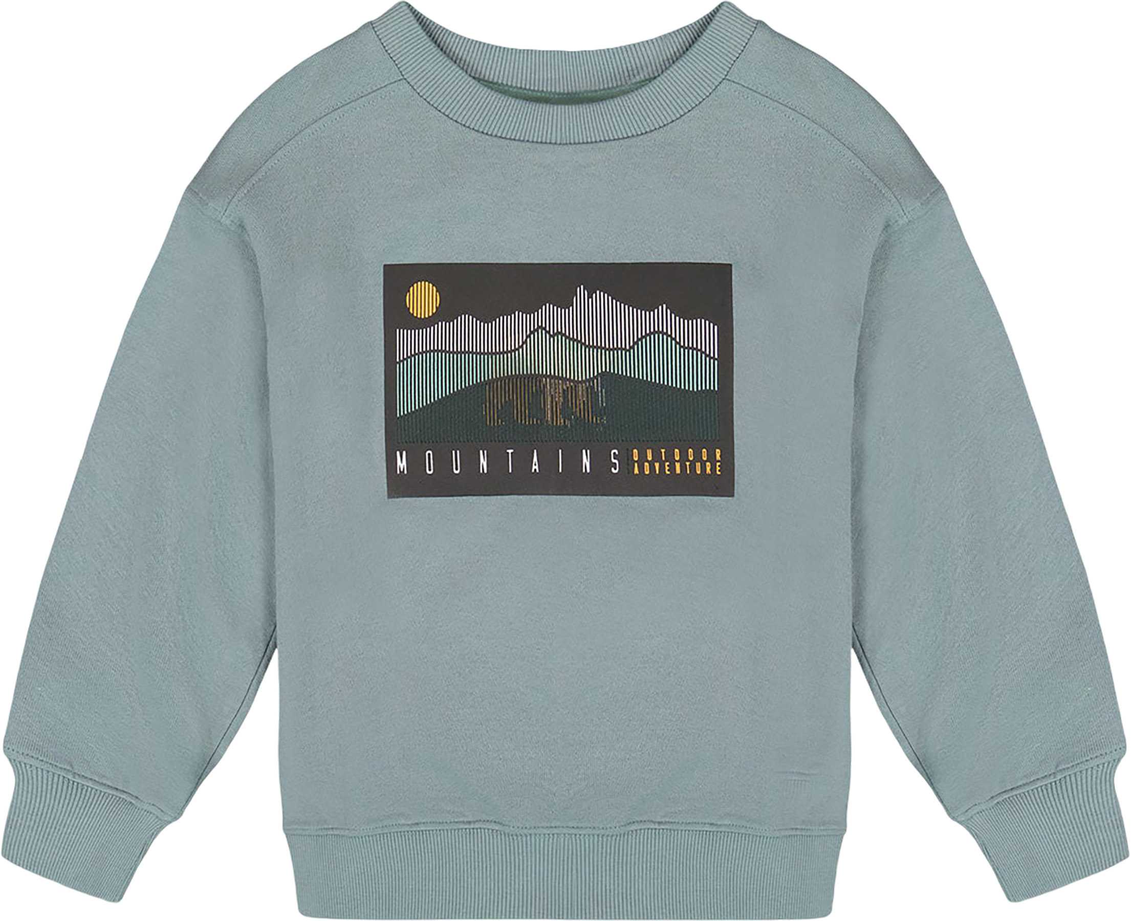 Image de produit pour Chandail à capuchon léger en éponge française imprimée à motif animé - Petit garçon