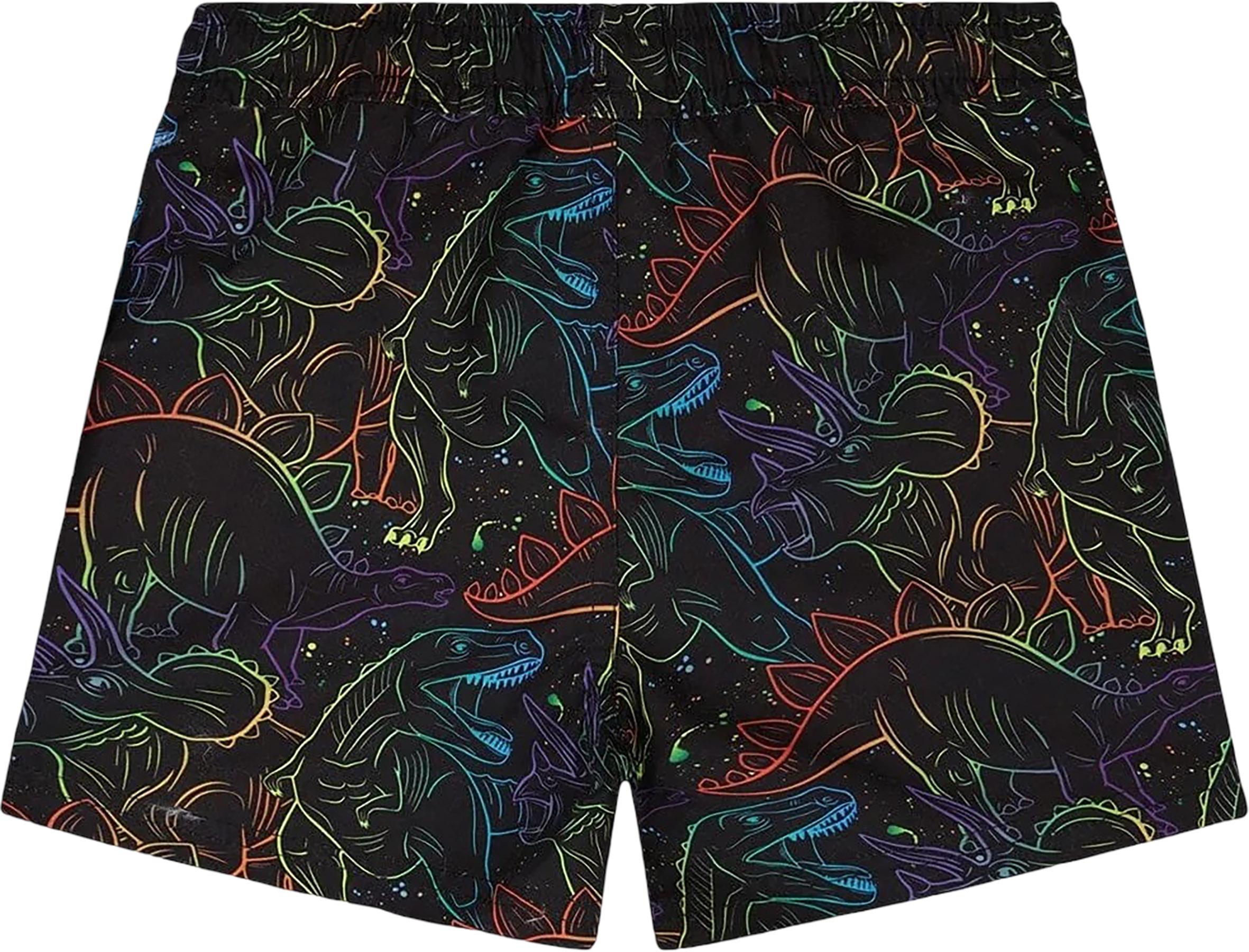 Product gallery image number 2 for product Dinosaur Print Swim Trunks - Little Boy
