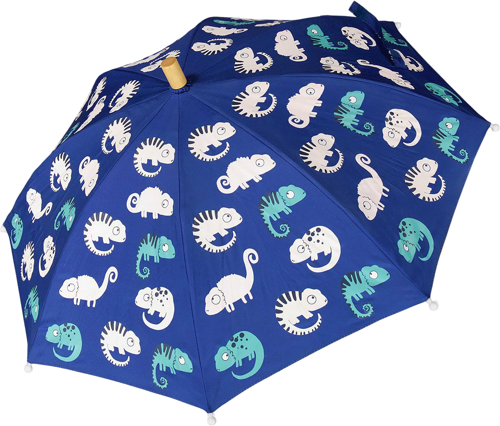 Blue Chameleon Print