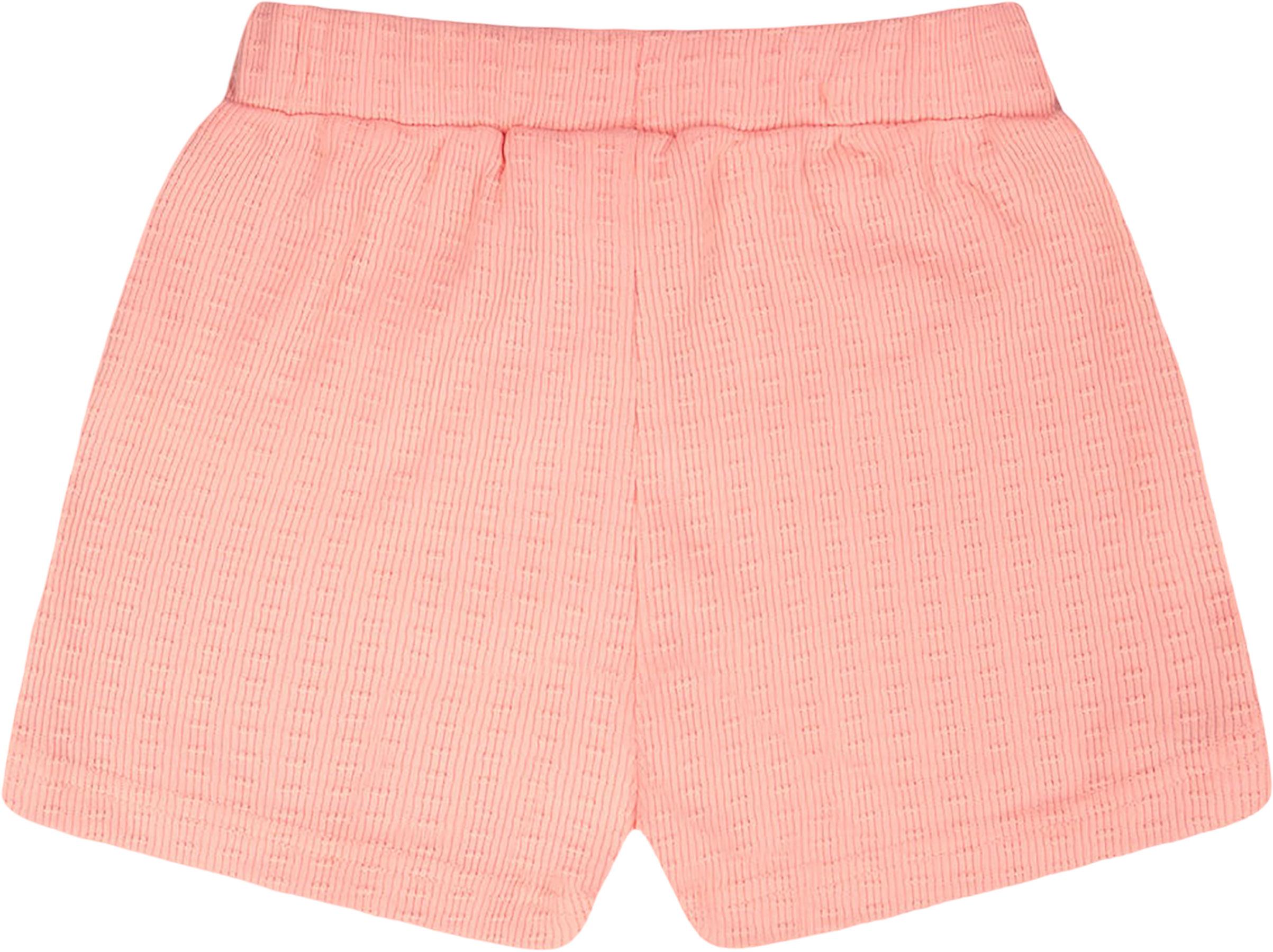 Product gallery image number 2 for product Shorts Mint Green