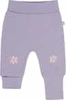 Colour: Violet