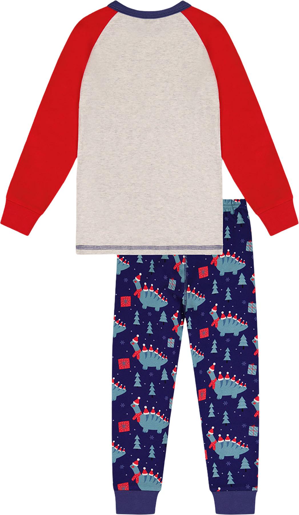 Numéro de l'image de la galerie de produits 4 pour le produit Pyjama deux pièces en coton biologique - Grand Garçon