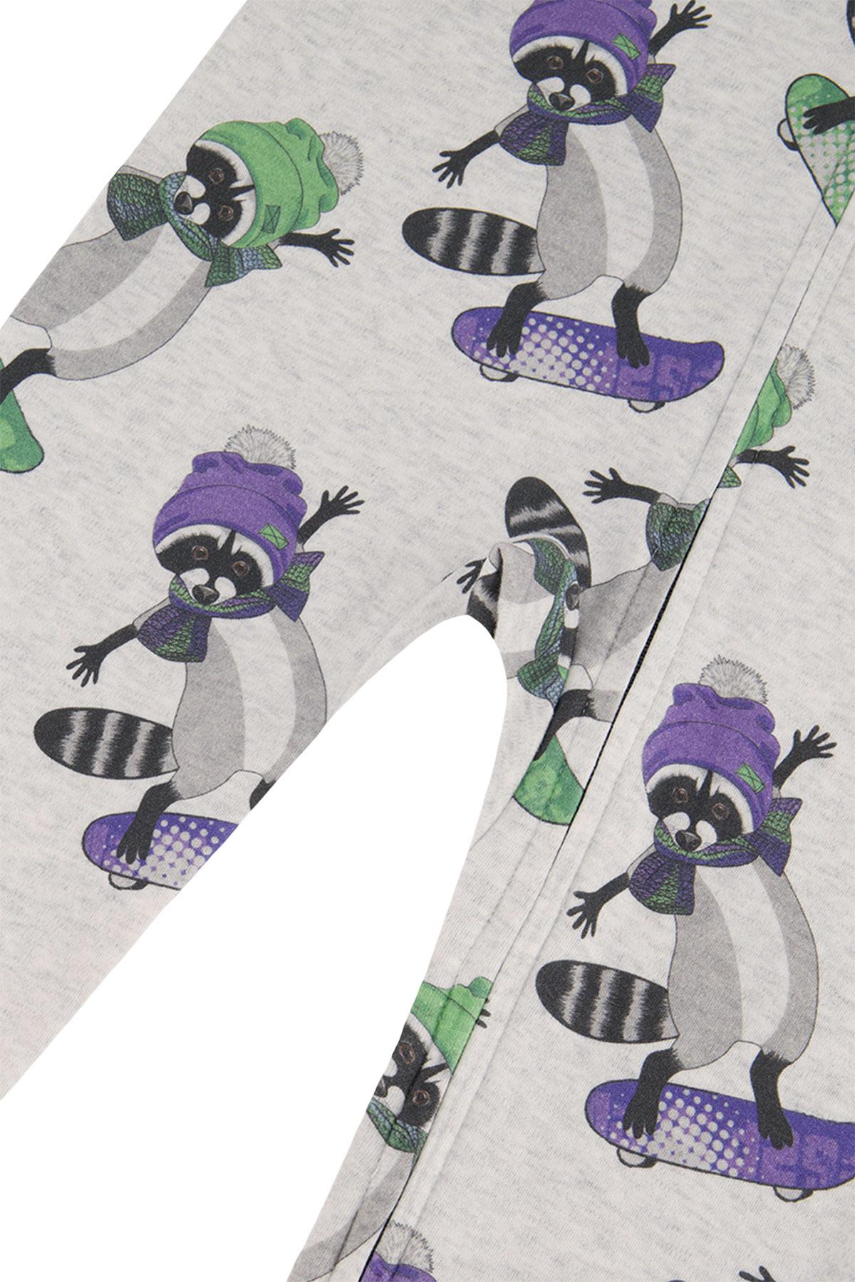 Numéro de l'image de la galerie de produits 2 pour le produit Pyjama une pièce en coton biologique - Grand Garçon