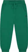Colour: Fir