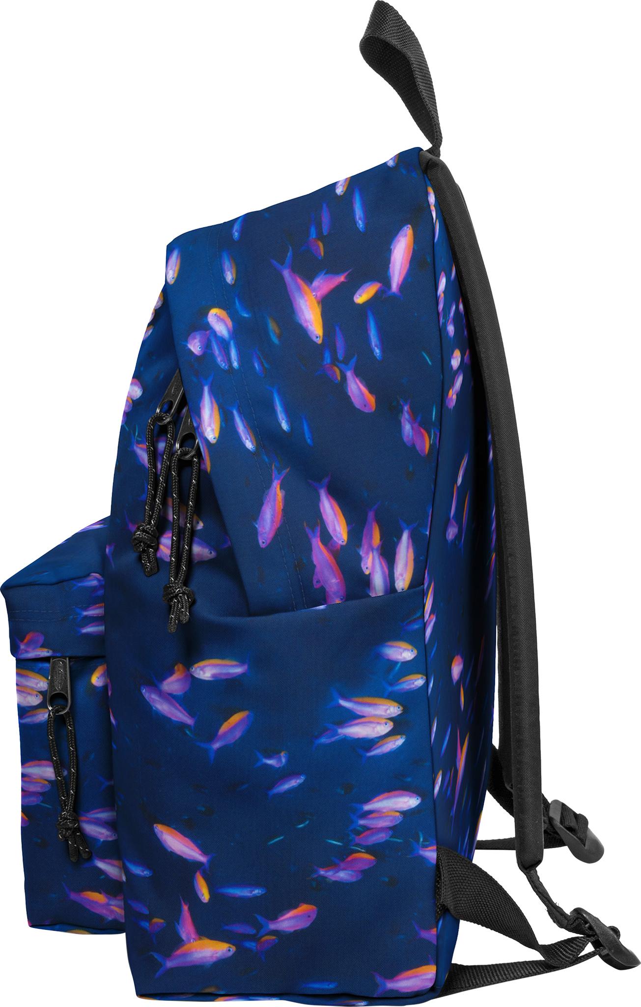 Product gallery image number 6 for product Padded Pak'R Backpack 24L