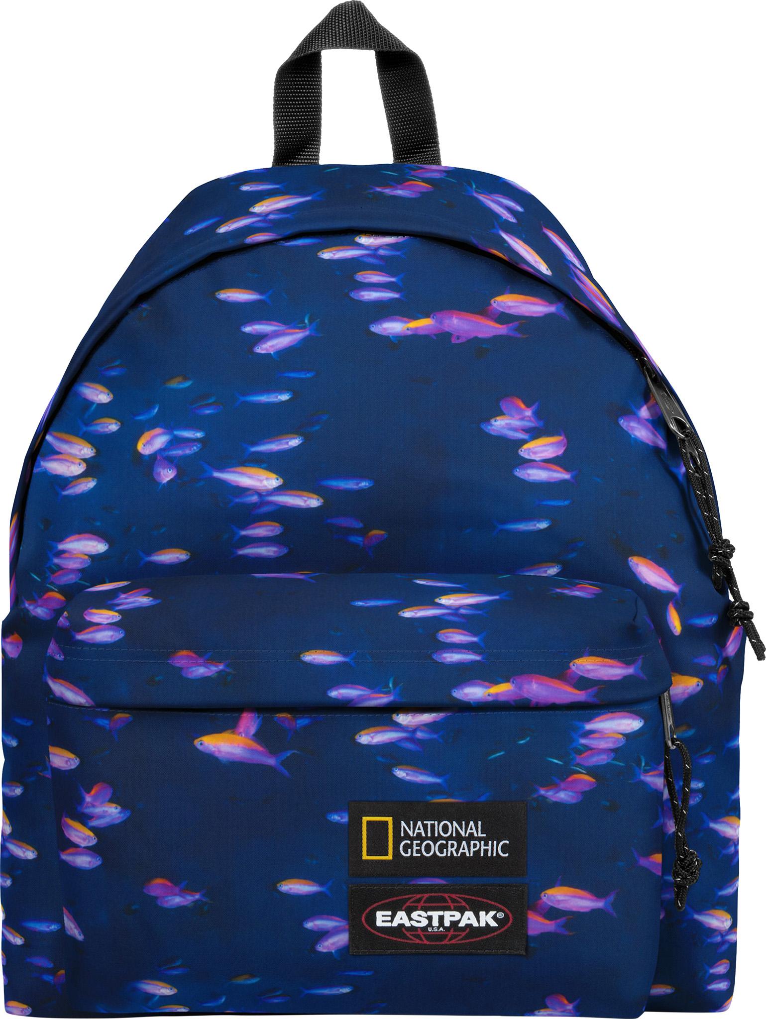 Product gallery image number 1 for product Padded Pak'R Backpack 24L