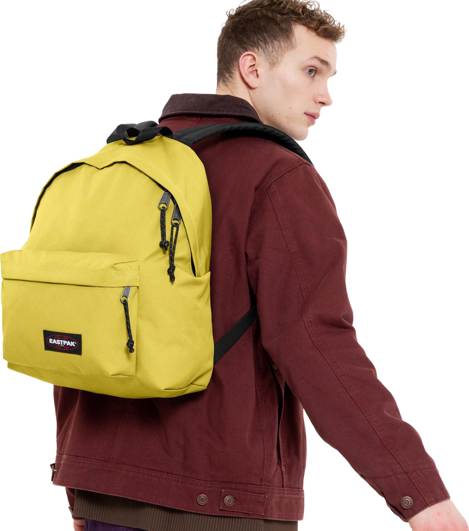 Product gallery image number 2 for product Padded Pak'R Backpack 24L