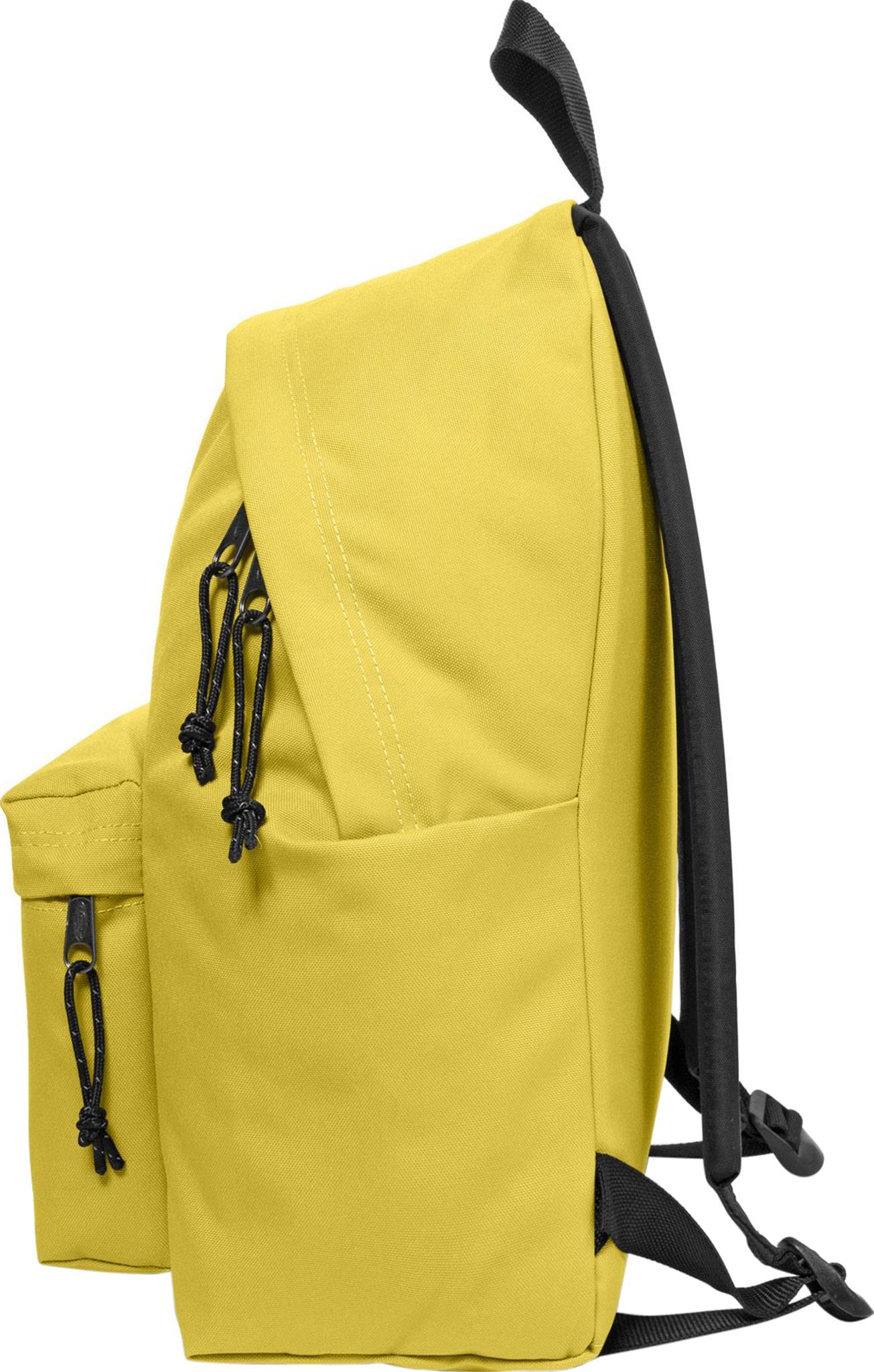 Product gallery image number 5 for product Padded Pak'R Backpack 24L