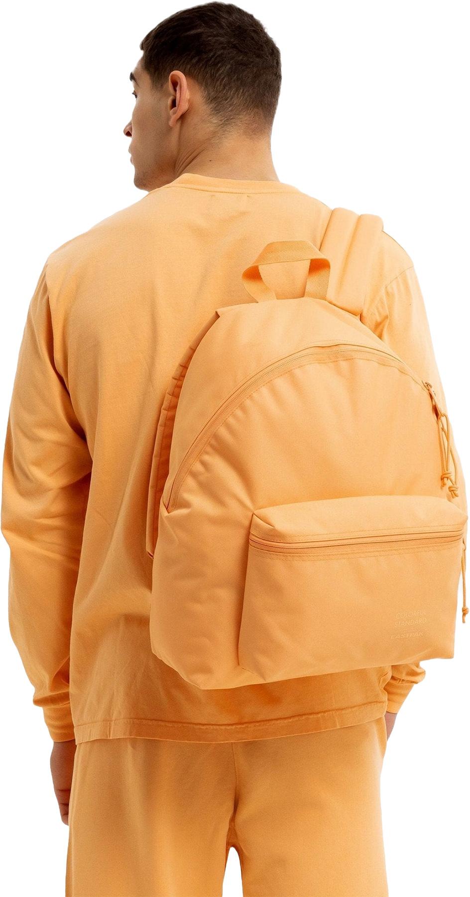 Product gallery image number 3 for product Day Pak'R Backpack 21L