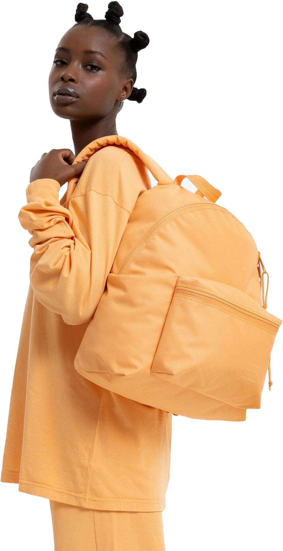Product gallery image number 6 for product Day Pak'R Backpack 21L
