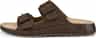 Colour: Brown