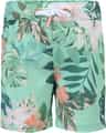 Couleur: Green Tropical