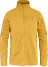 Colour: Ochre