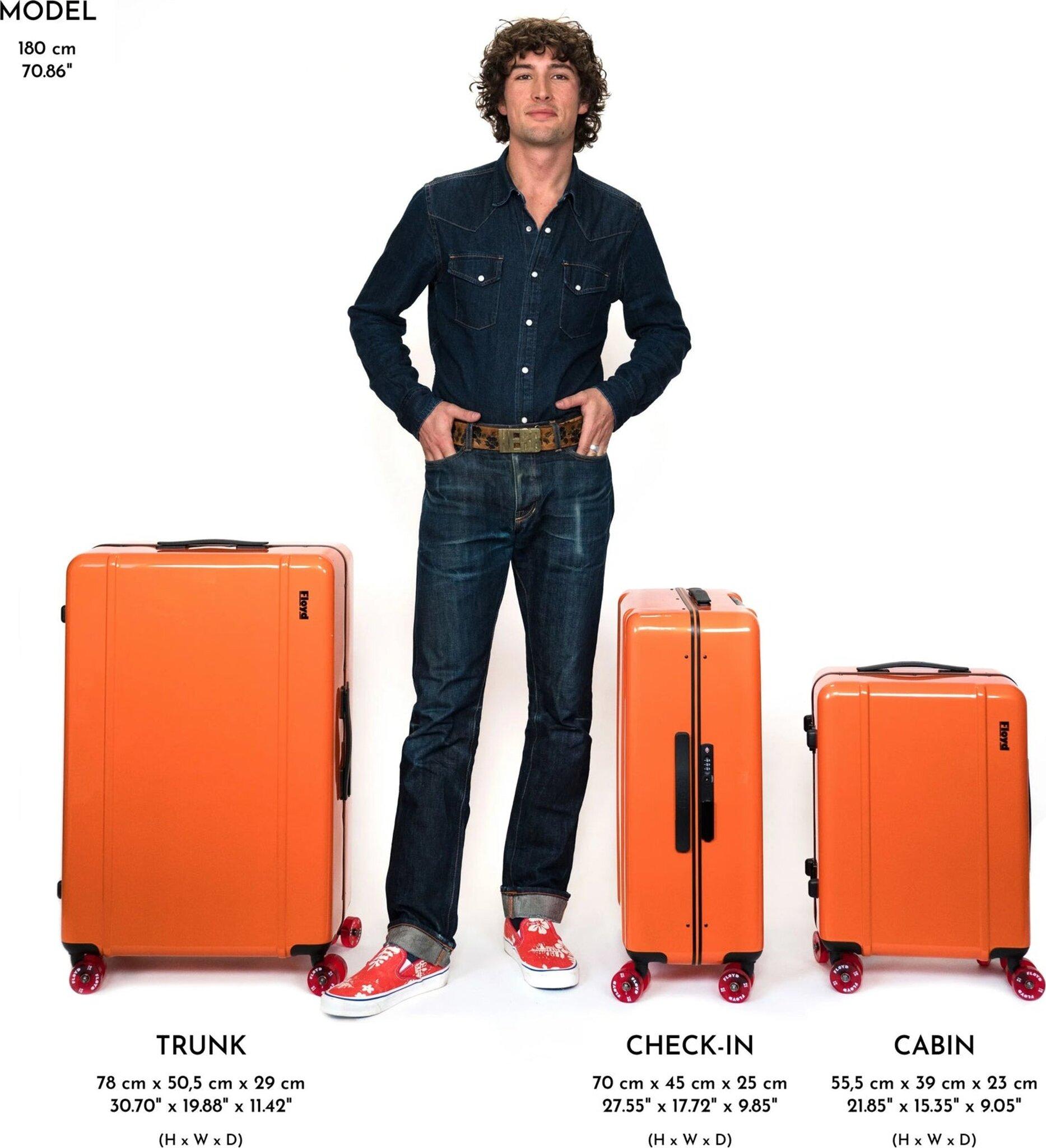Numéro de l'image de la galerie de produits 3 pour le produit Valise Trunk 95L