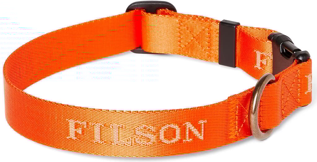 Product gallery image number 2 for product Nylon Dog Collar