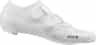 Couleur: White
