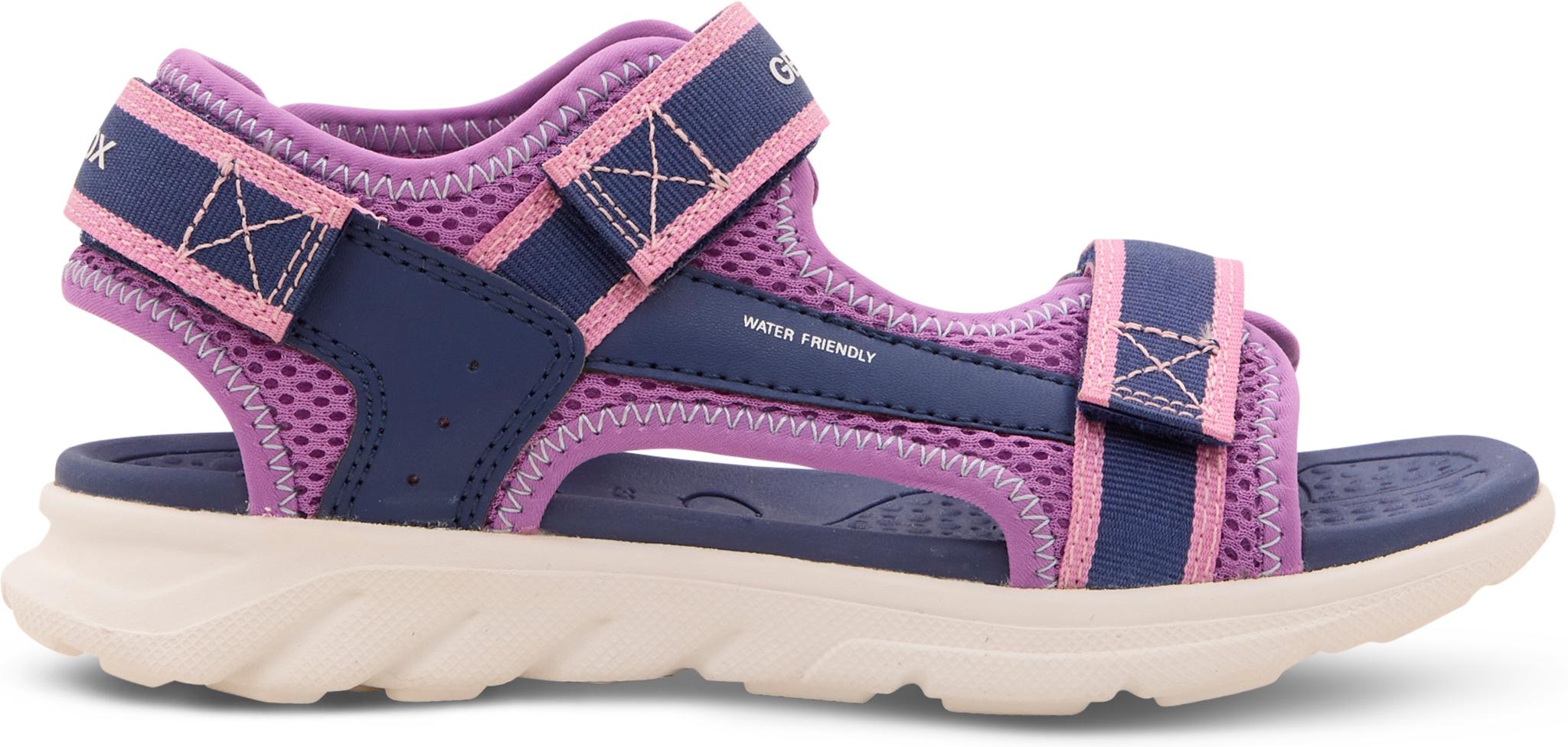 Navy - Purple