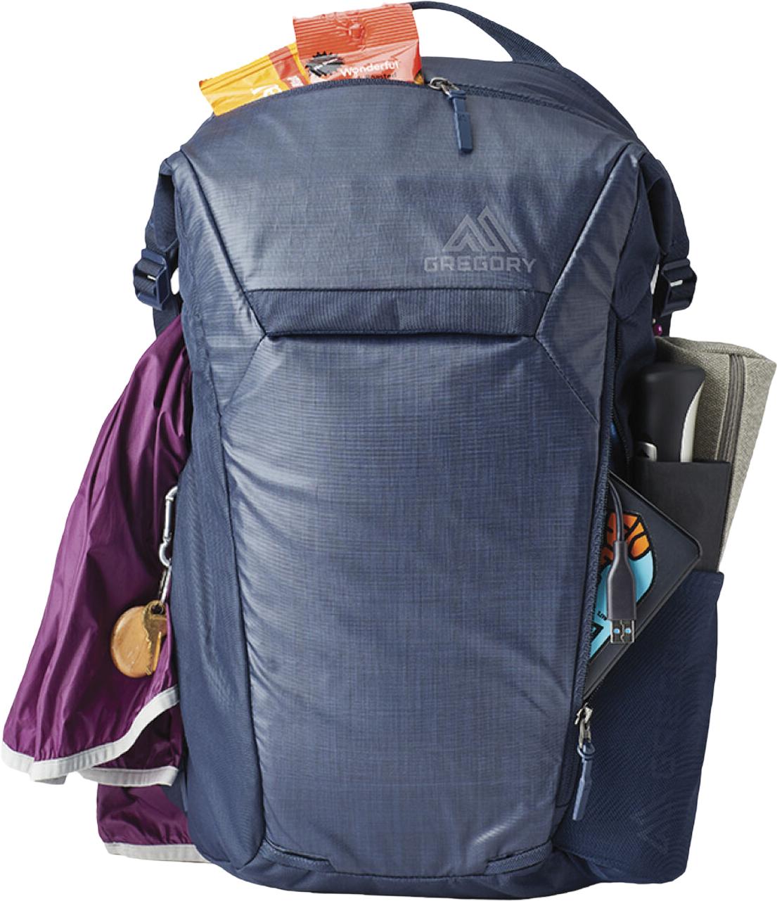 Product gallery image number 2 for product Resin Roll-Top Backpack 27L