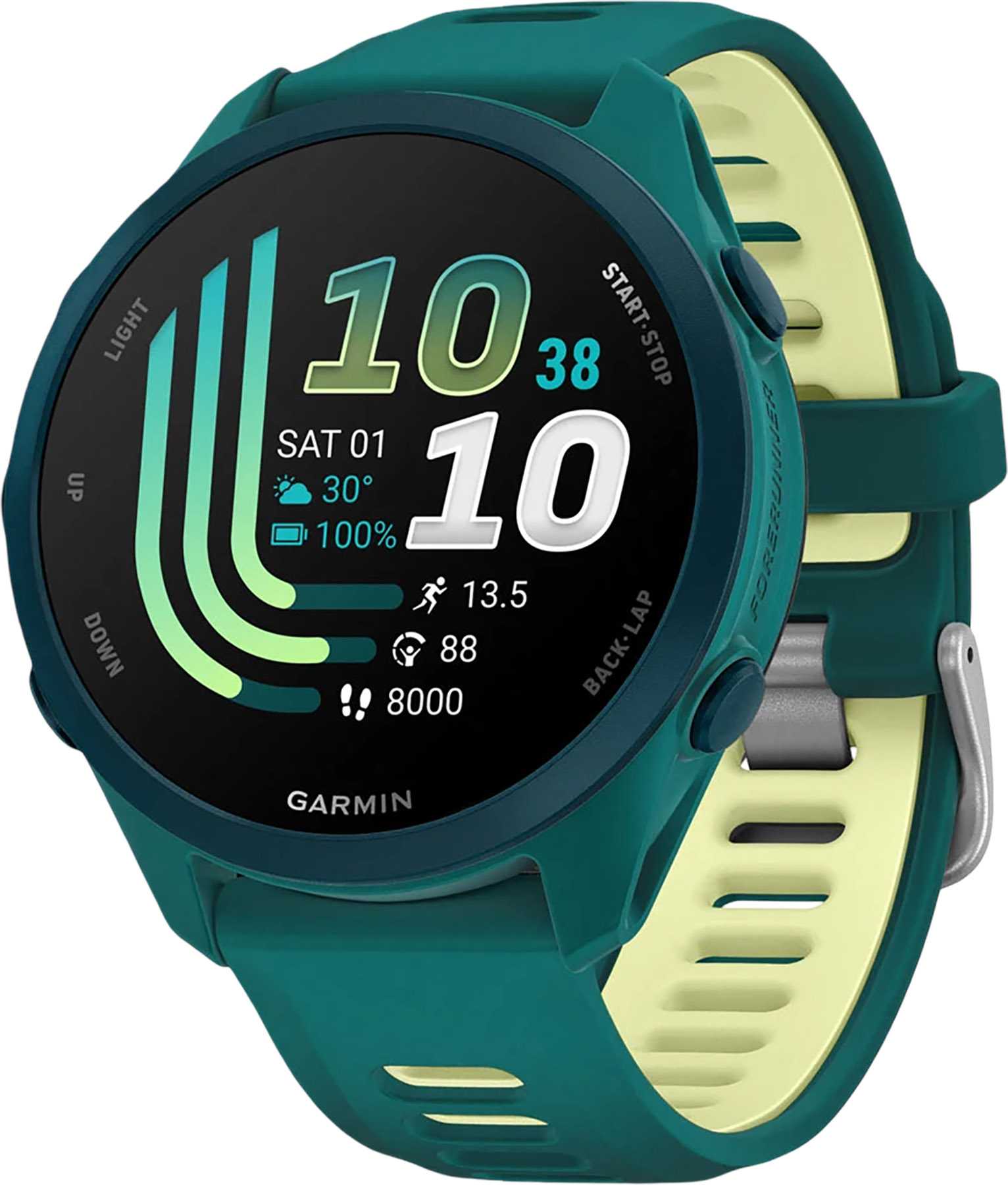 Teal Green - Citron