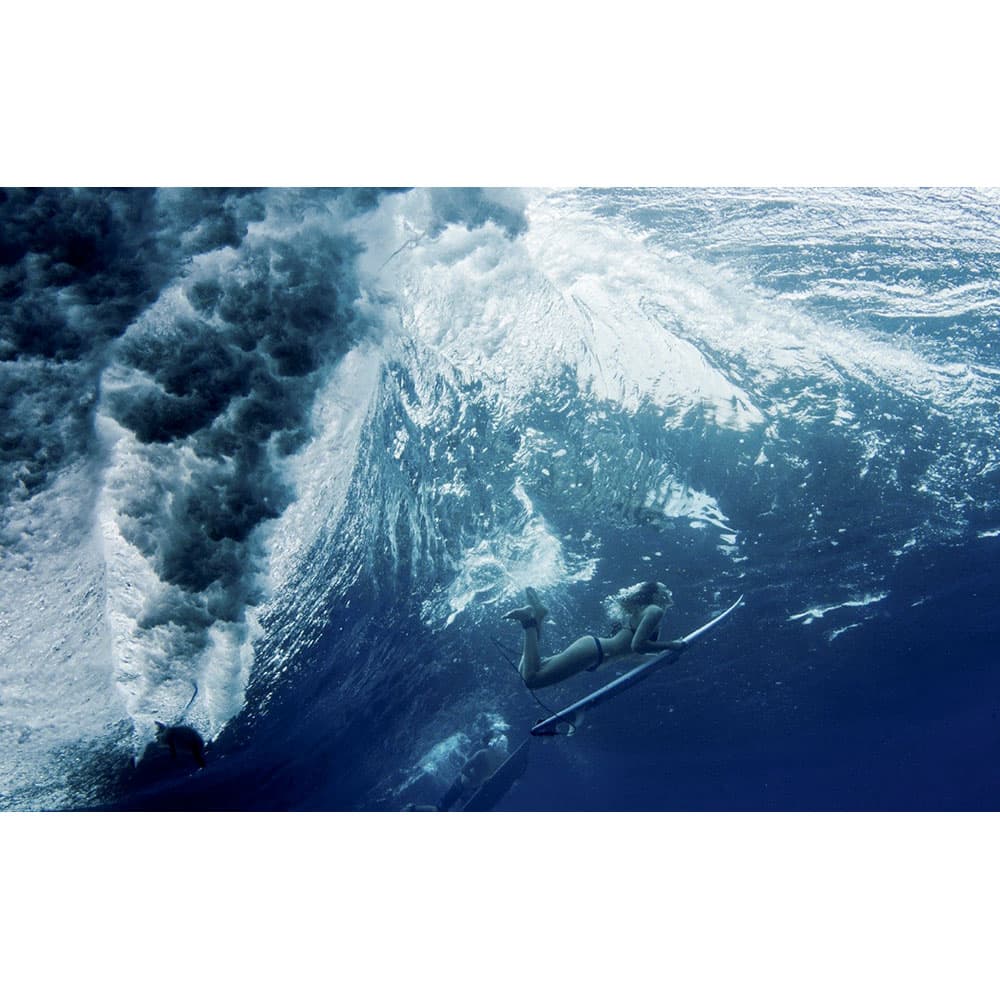 Product gallery image number 4 for product Surf Odyssey : The Culture of Wave Riding