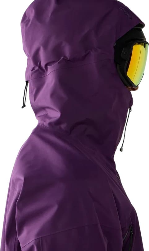 Product gallery image number 5 for product Vassi GTX II Jacket - Men's