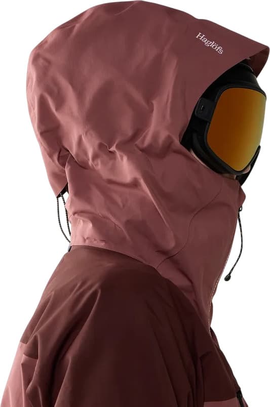 Product gallery image number 4 for product Vassi GTX Pro II Jacket - Women's