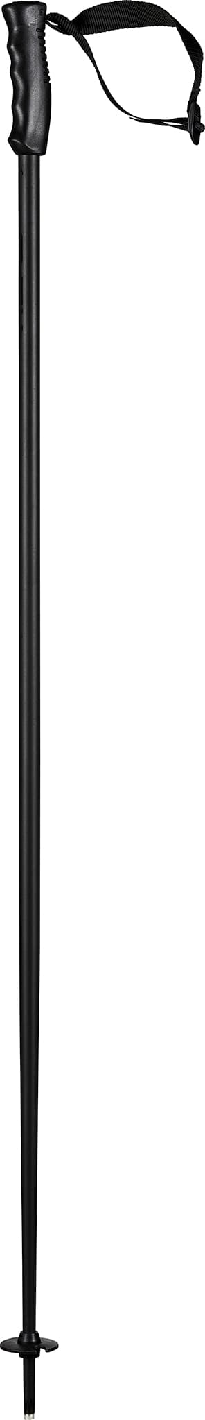 Product gallery image number 1 for product Multi Ski Pole