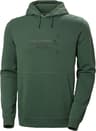 Colour: Spruce