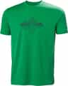 Colour: Evergreen