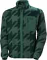 Couleur: Jungle Green