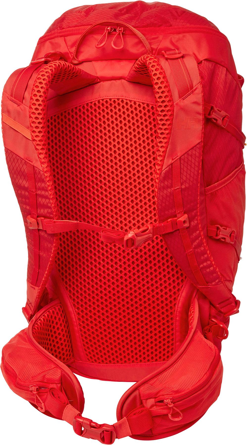 Product gallery image number 3 for product Transistor Backpack 30L