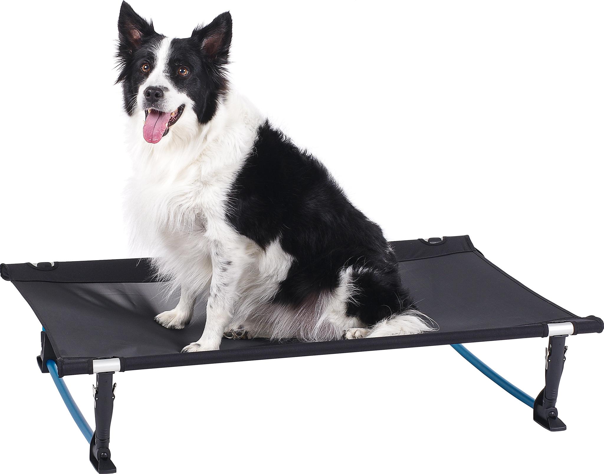 Product gallery image number 5 for product Elevated Dog Cot L
