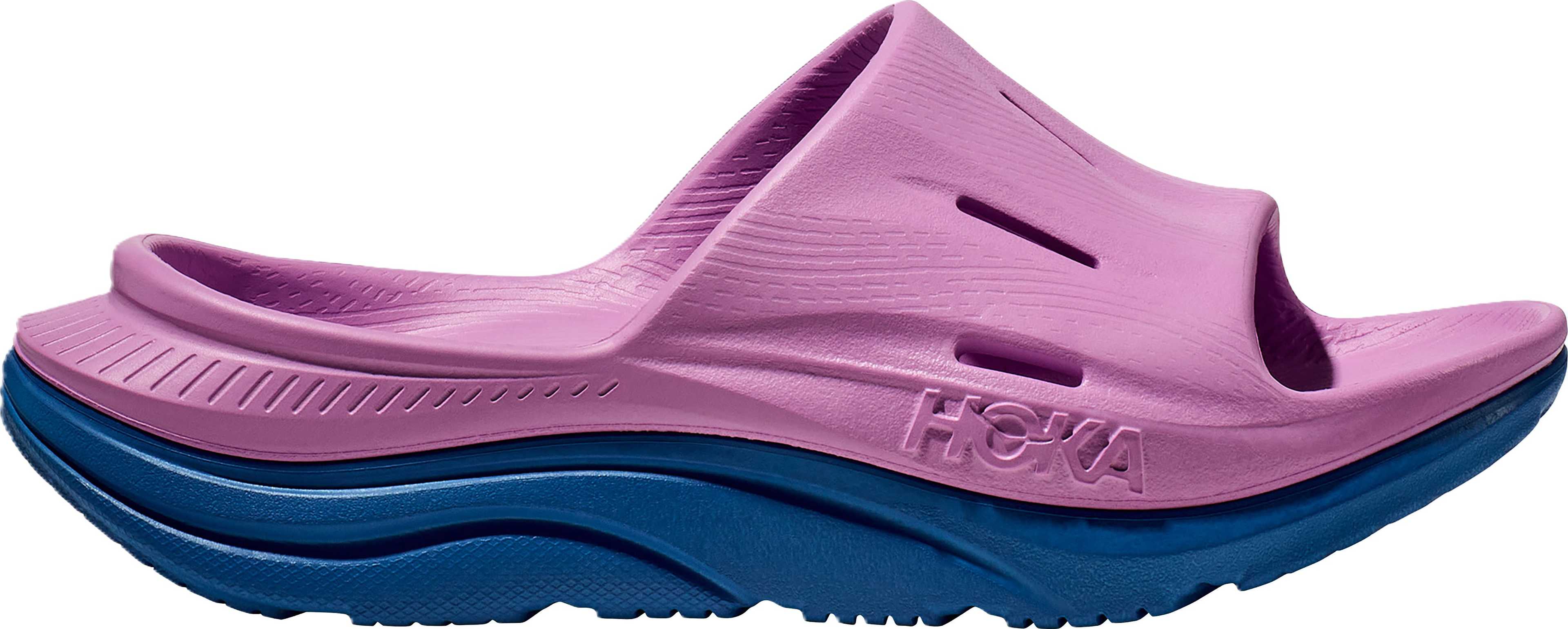 Cyclamen - Coastal Sky