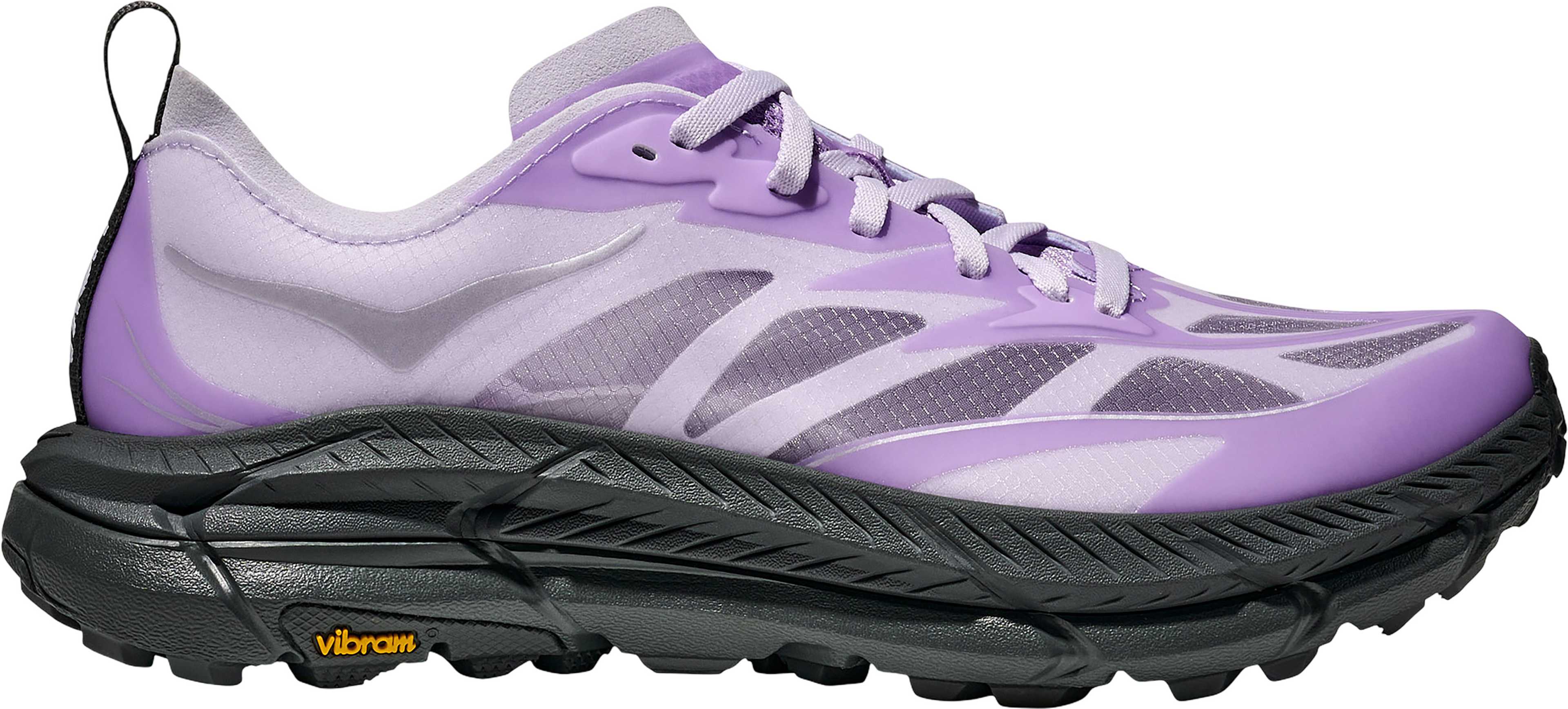 Starlight Glow - Aster Flower