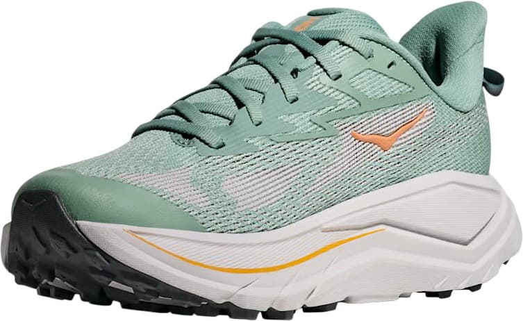 Numéro de l'image de la galerie de produits 3 pour le produit Souliers de course sur sentier Challenger 8 [Large] - Femme