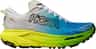 Colour: Frost - Hoka Citrus