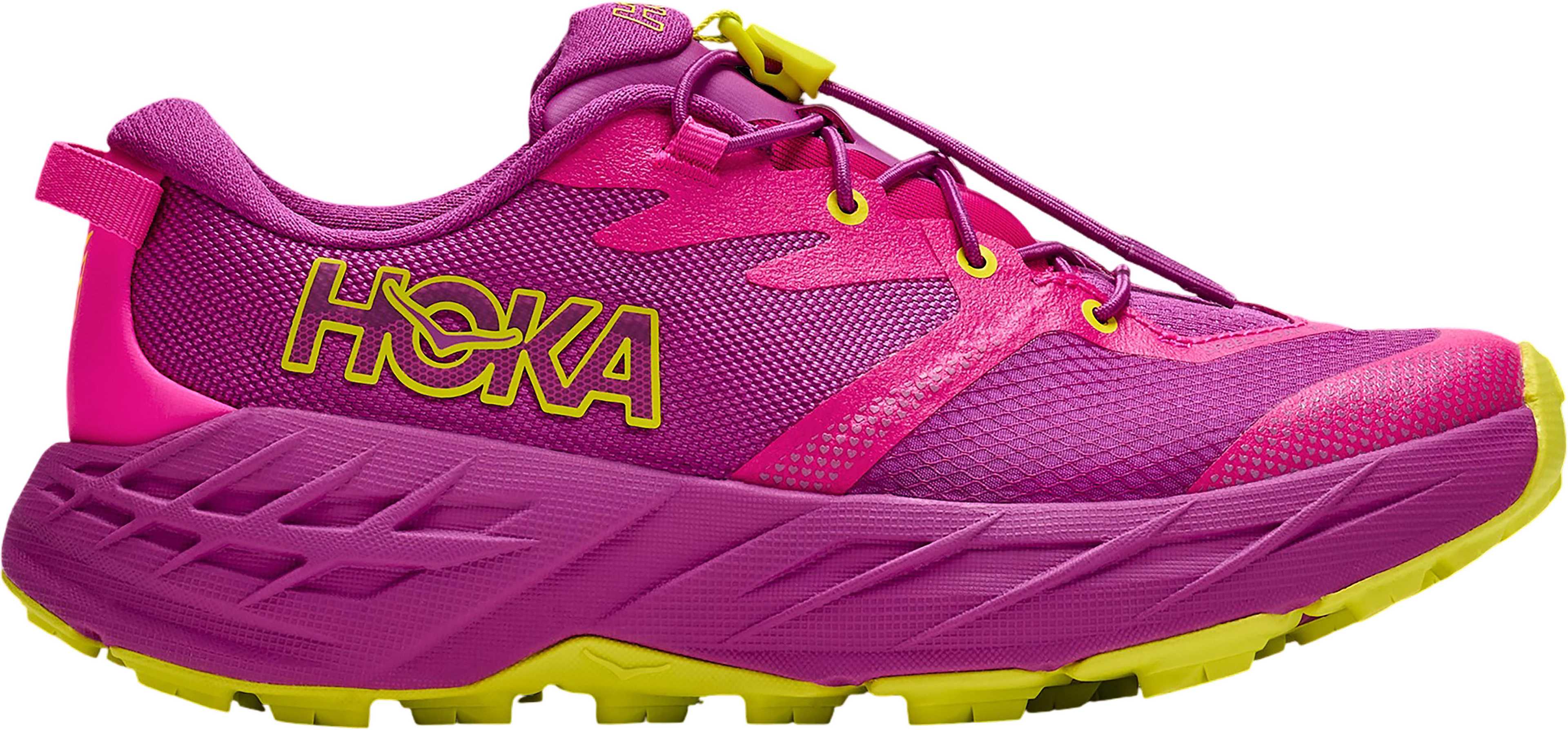 Fuchsia - Fuchsia