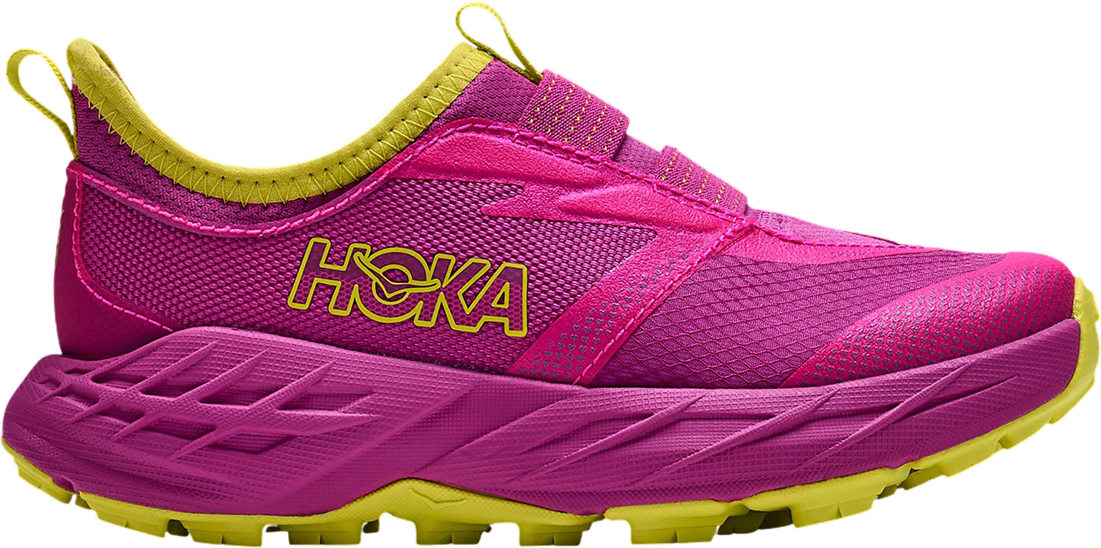 Fuchsia - Fuchsia