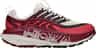 Couleur: Alabaster - Varsity Burgundy