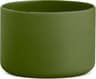 Colour: Olive