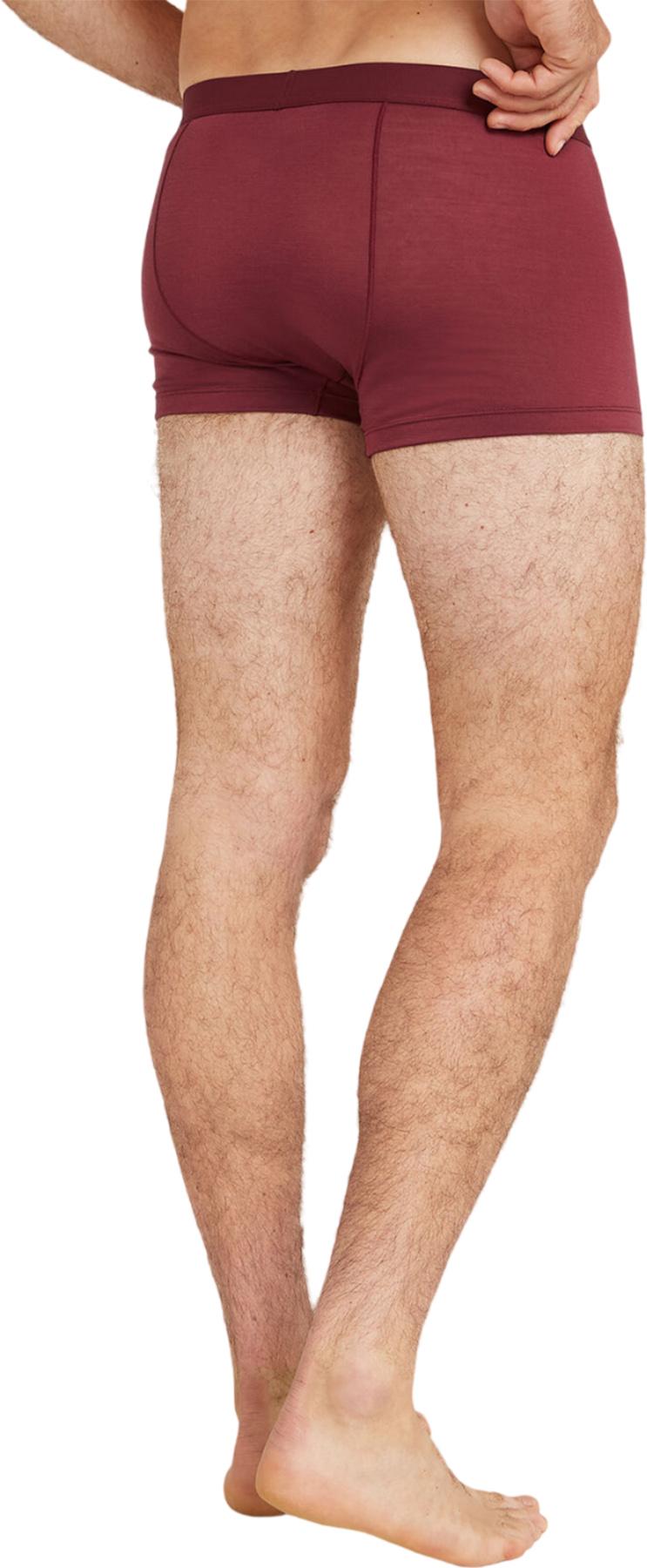 Product gallery image number 2 for product 125 Cool-Lite Anatomica Merino Blend Trunks  - Men's