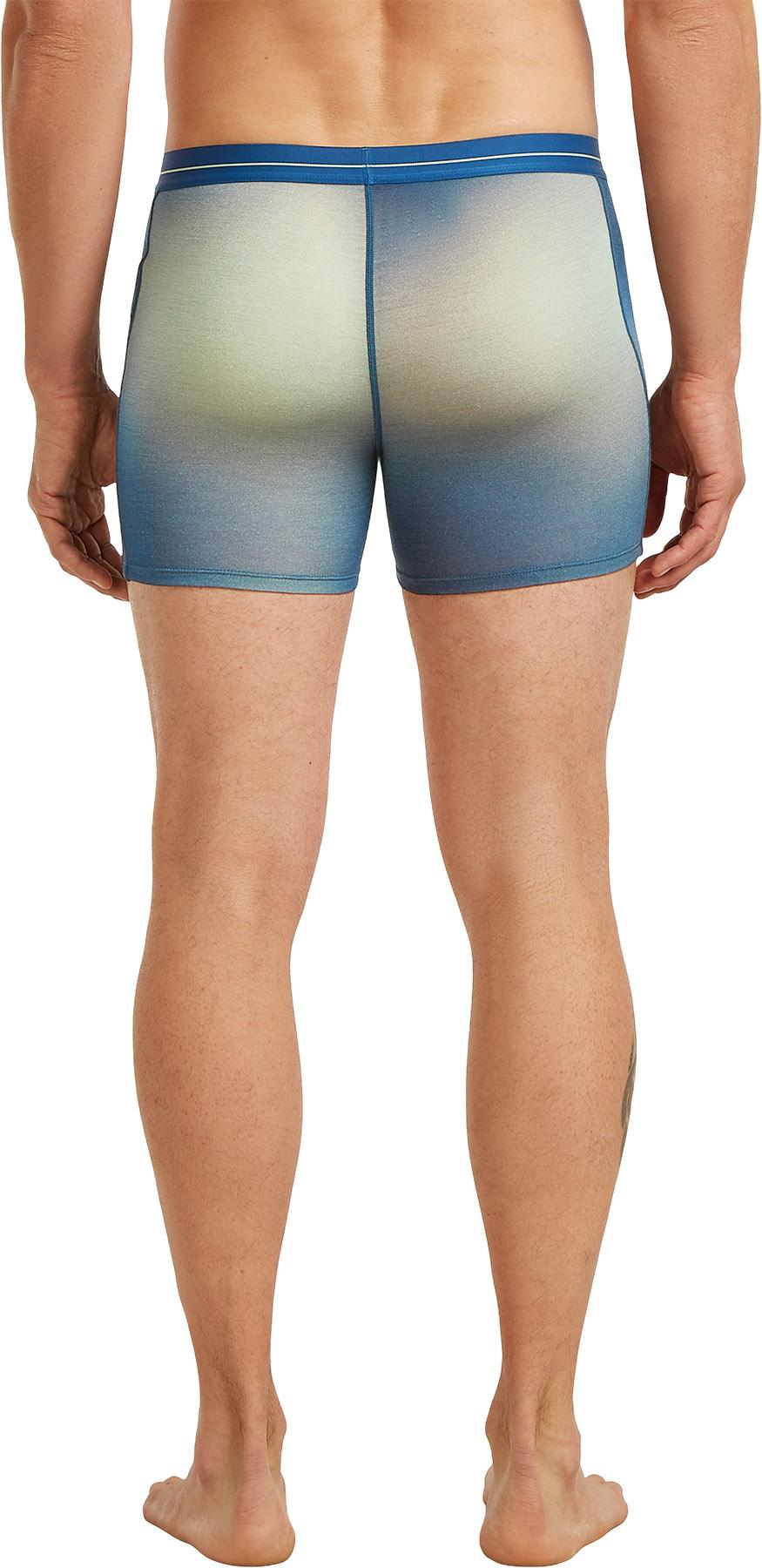 Product gallery image number 2 for product Men's Merino 150 Anatomica Boxers Transition