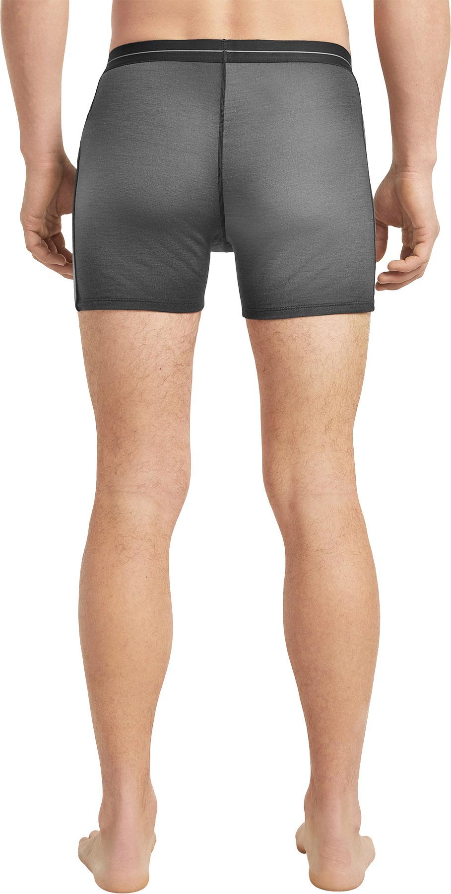 Product gallery image number 3 for product Men's Merino 150 Anatomica Boxers Transition